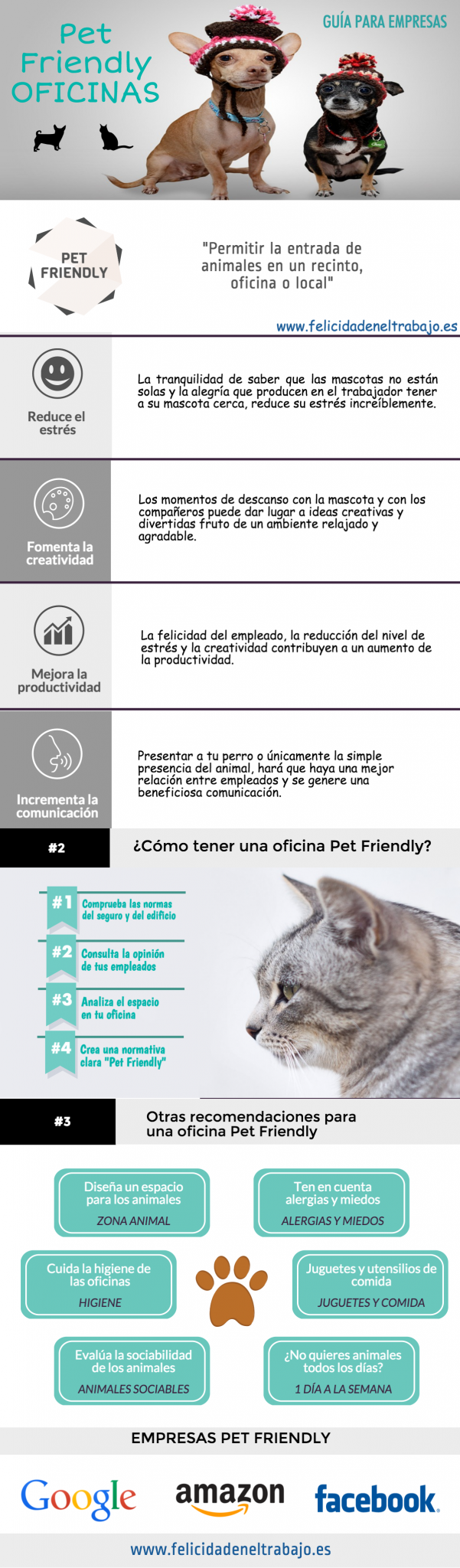 animales-oficina-dog-friendly